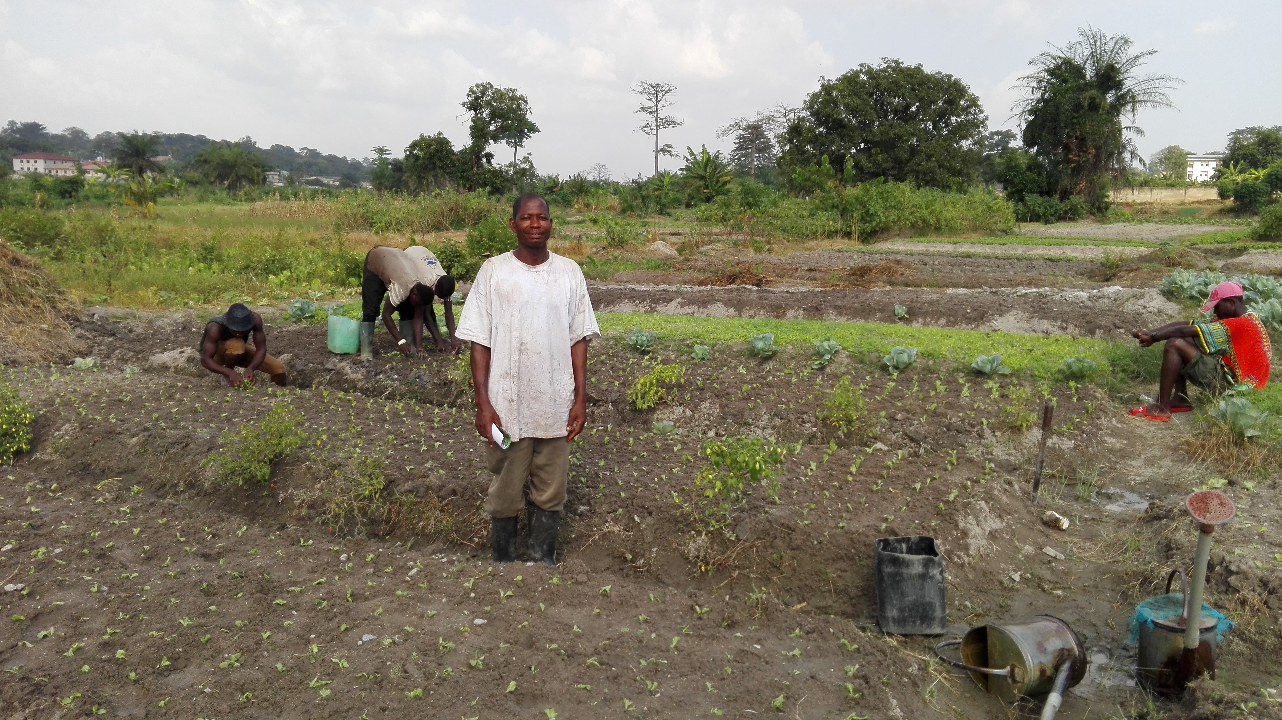 What Are The Farming Activities In Ghana