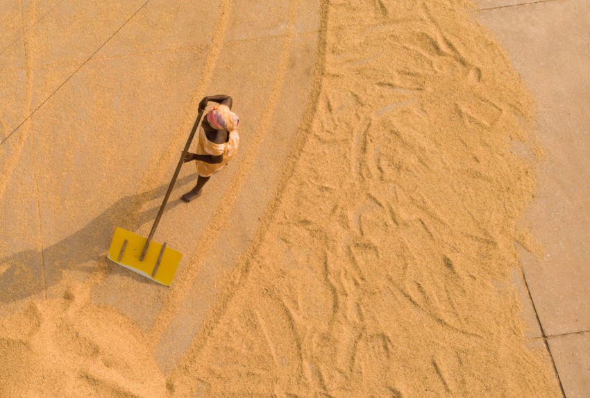 The Impact of Fertilizers on the Environment vs. Organic Farmerline