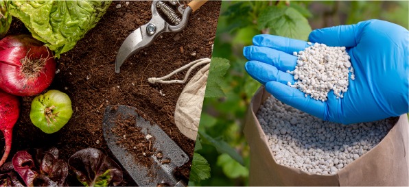 Policosanol (octacosanol) supplier Policosanol (octacosanol) supplier